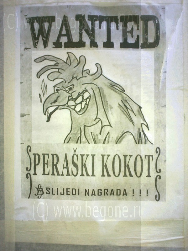 Разыскивается Петух Разыскивается Петух из Пераста (Peraski Kokot)