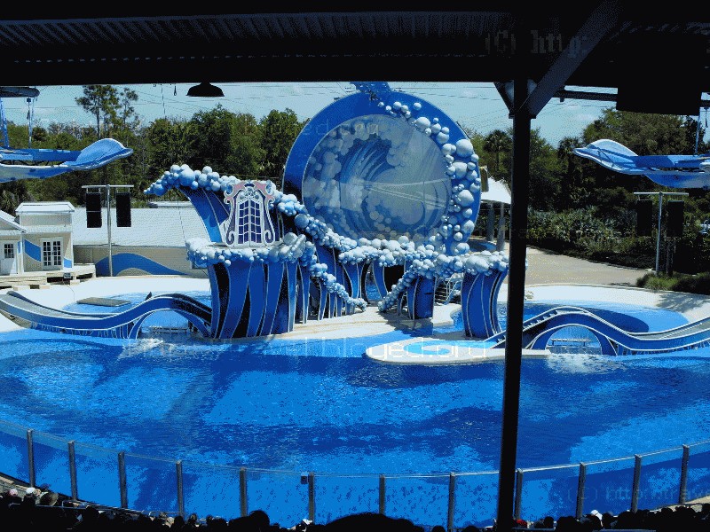 Представление с дельфинами Представление в дельфинарии в парке Sea World, Orlando, Florida.