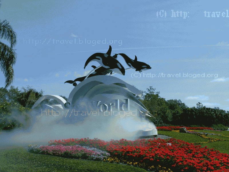 Sea World Sea World, Orlando, Florida.